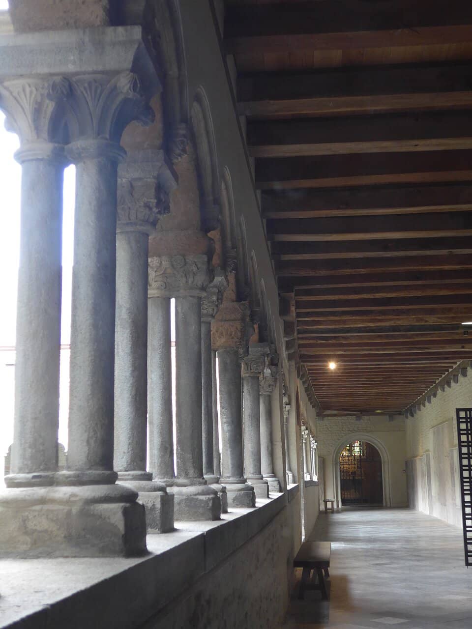 Cuddly Animal Friends