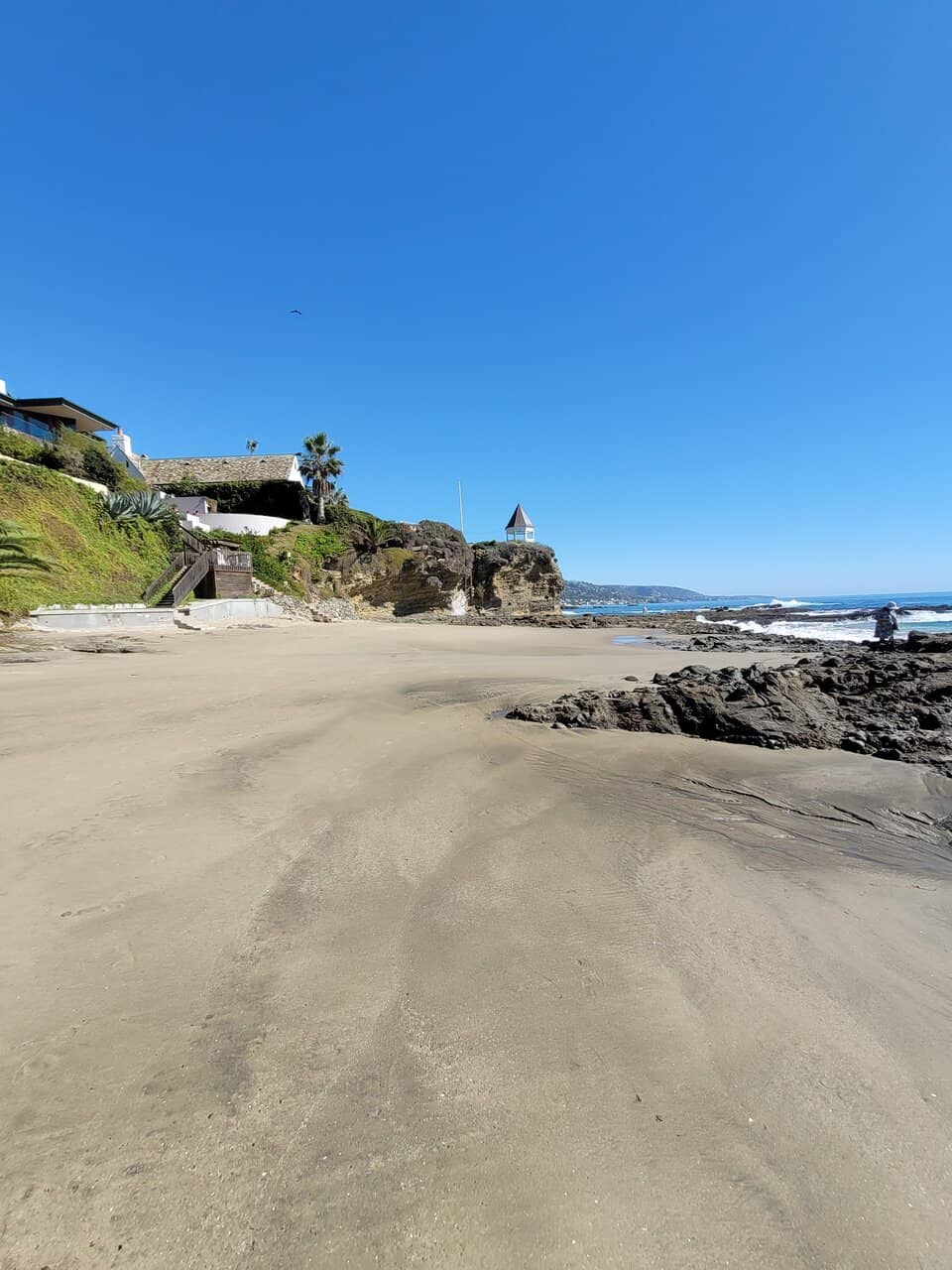 Tide Pools and Marine Life