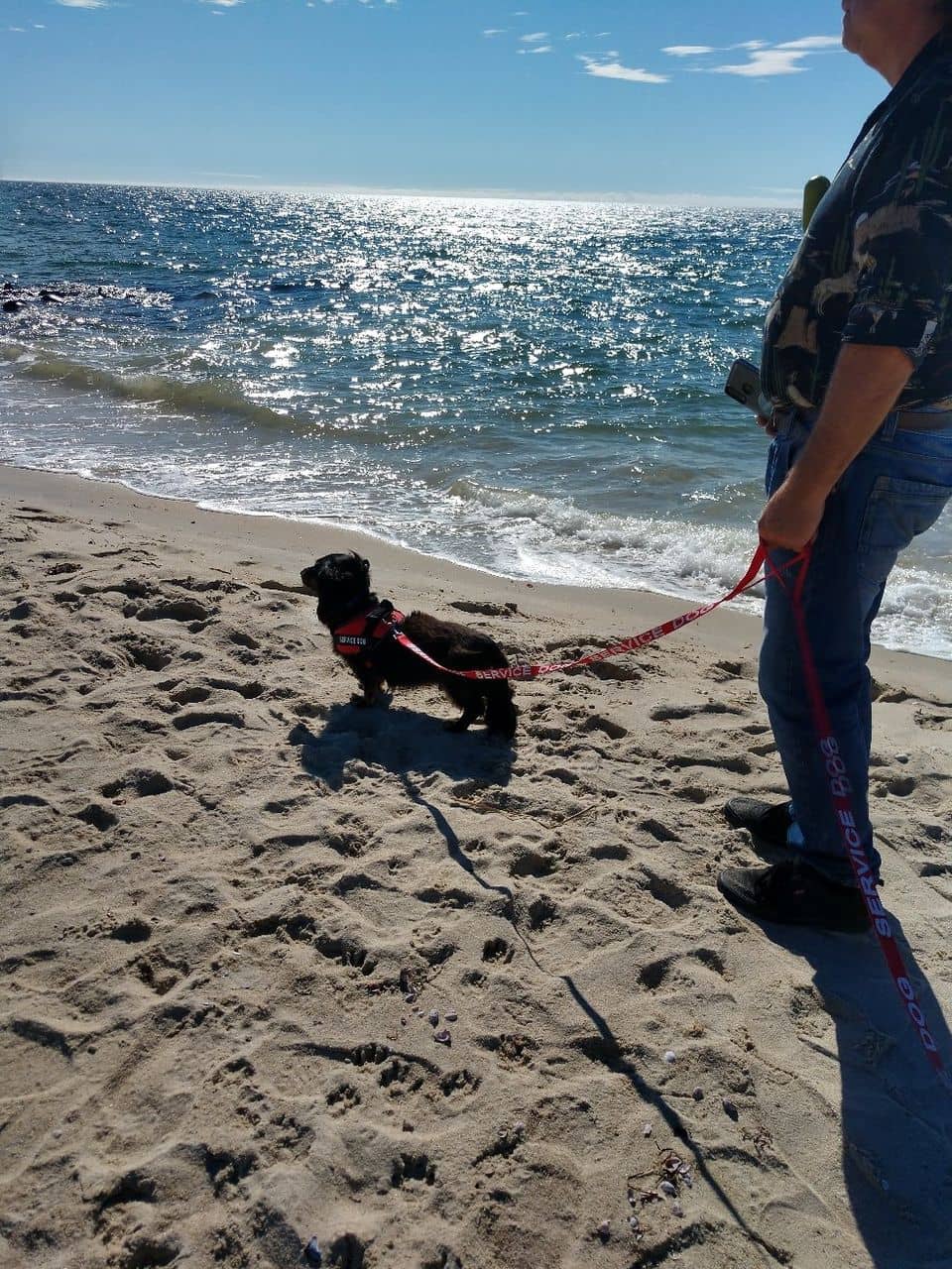 Sunrise & Sunset Spectacles