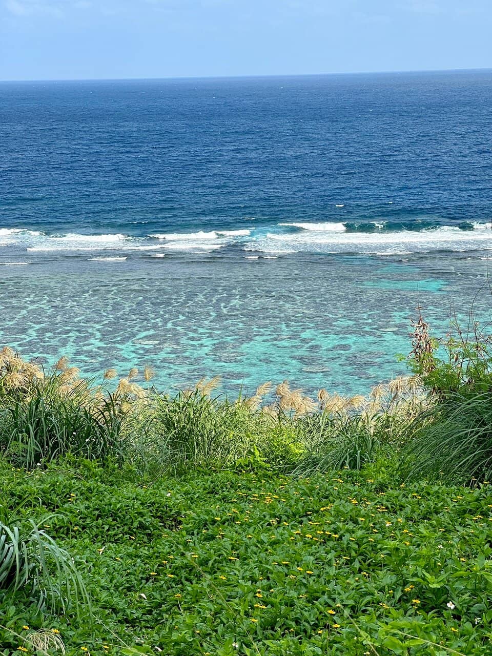 Abundant Marine Life