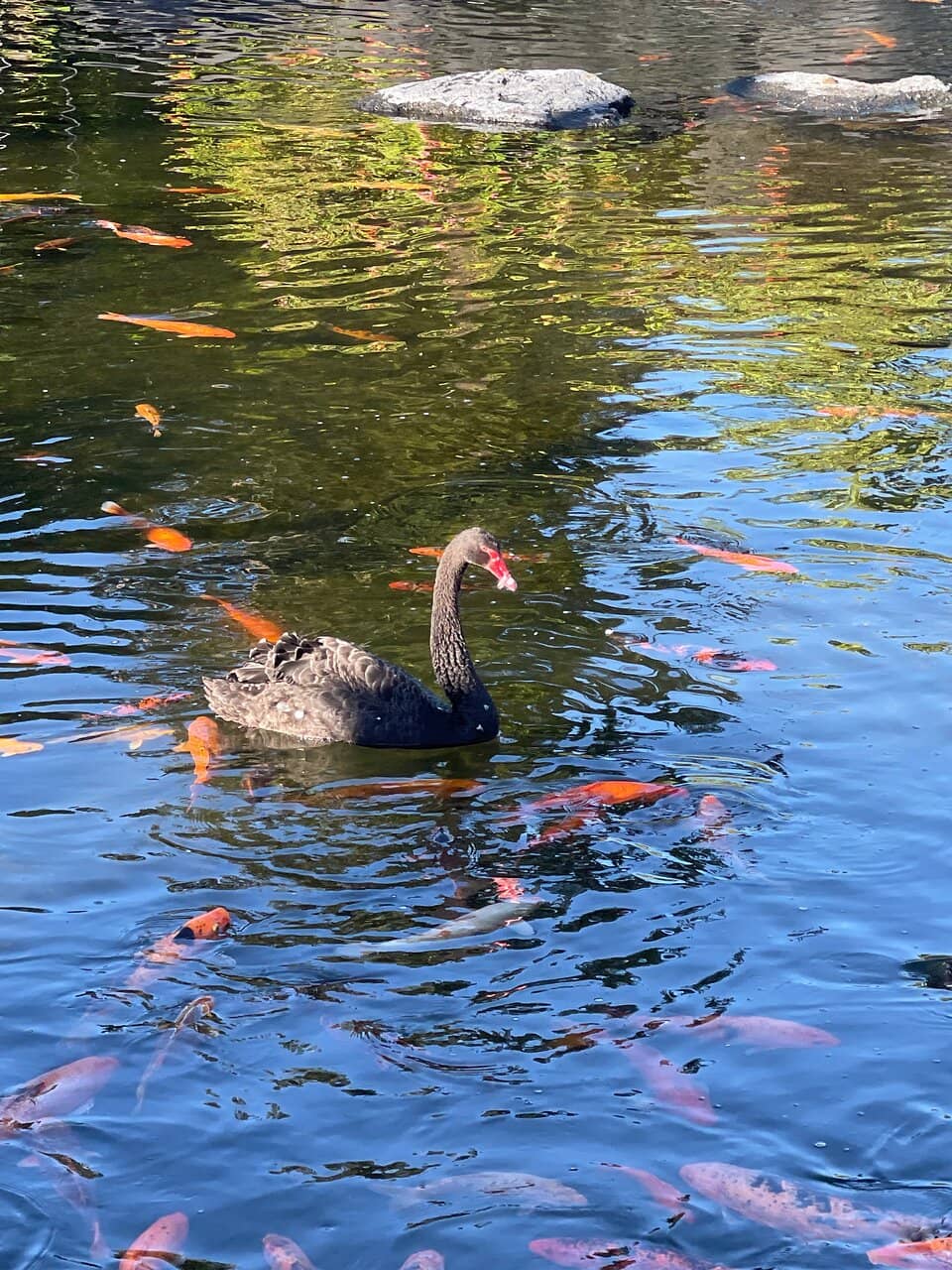Extensive Breakfast Buffet