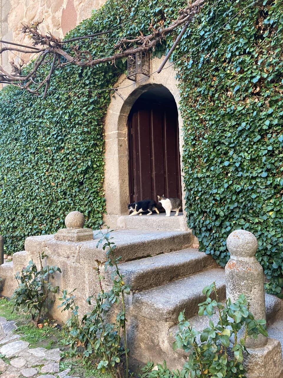 Overlooking the Wall