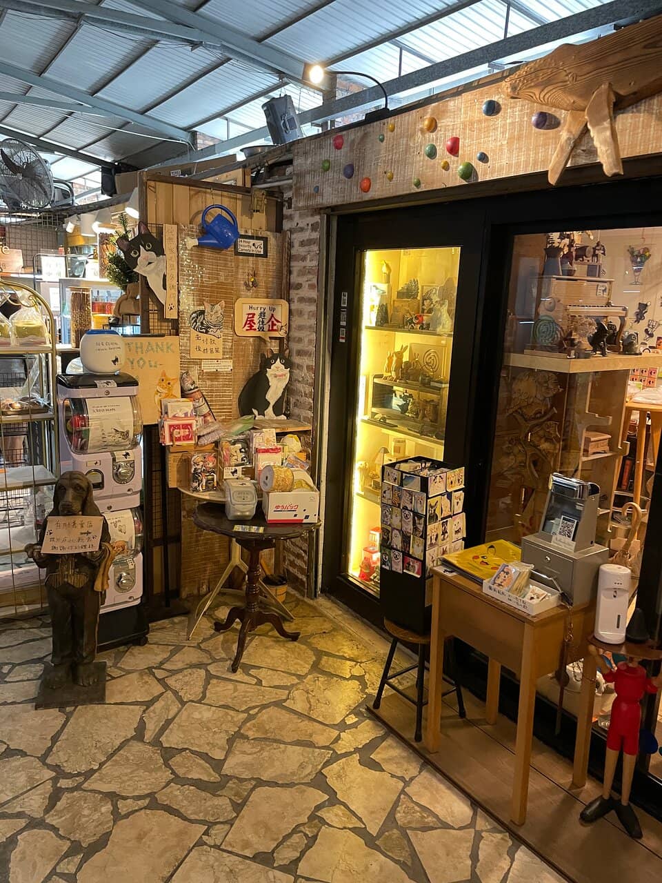 Pet-Friendly Atmosphere