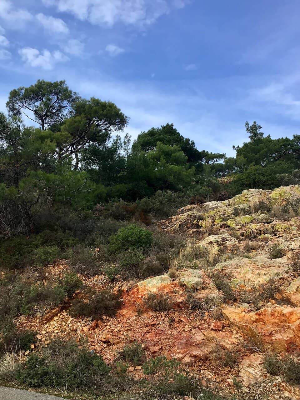Cunda Island Nature Park