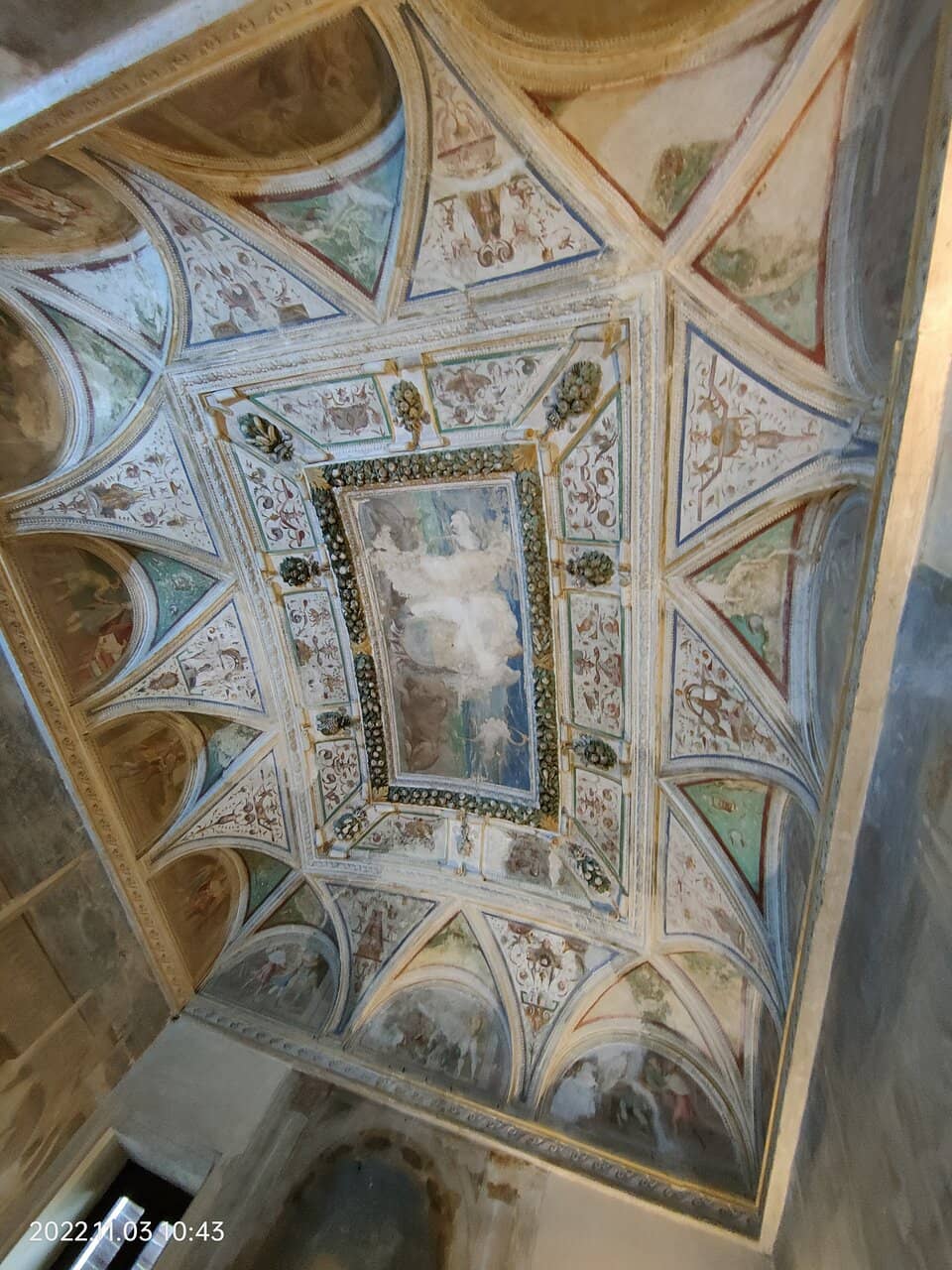 The Unexpected Garden Oasis