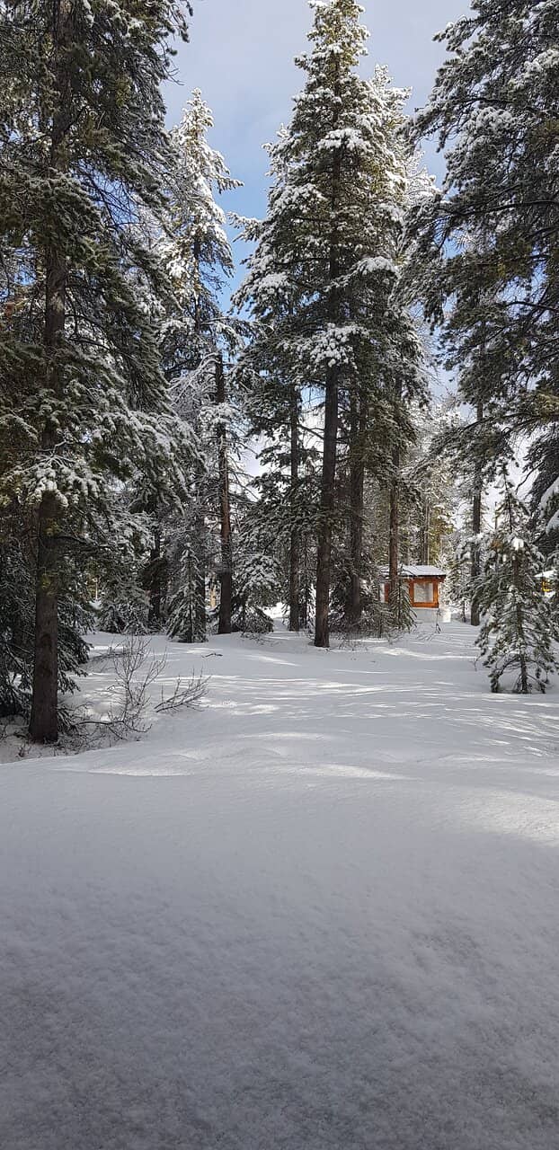 Policeman's Creek Boardwalk