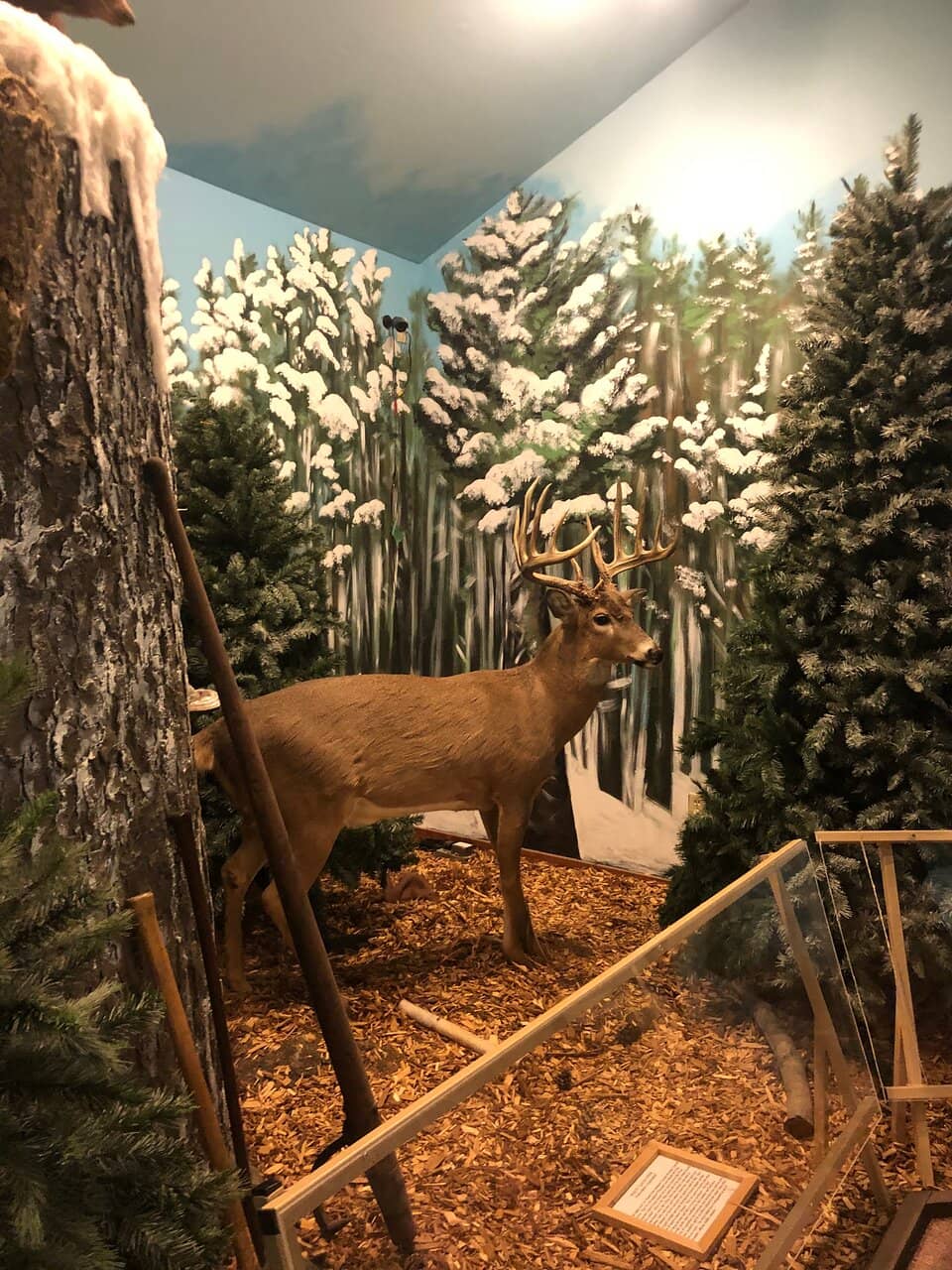 Whimsical Paul Bunyan Theme