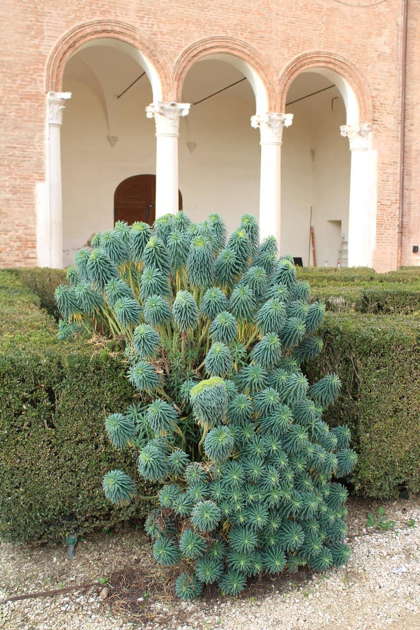 Italian Garden & Labyrinth
