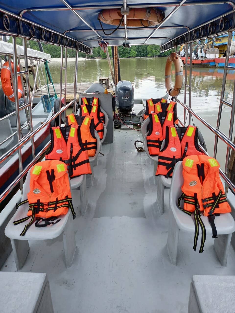Pufferfish Encounters