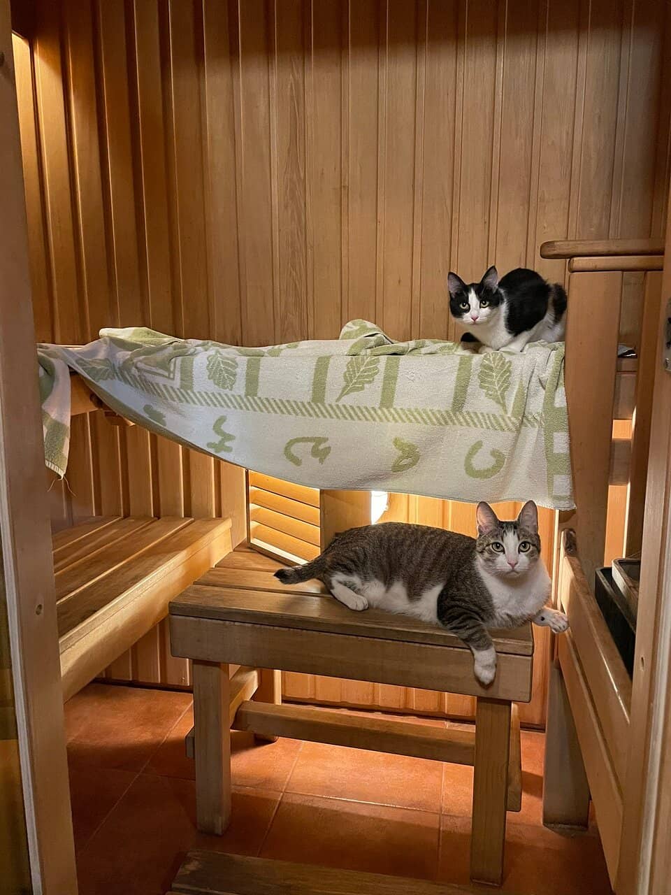 Accessible by Public Transit