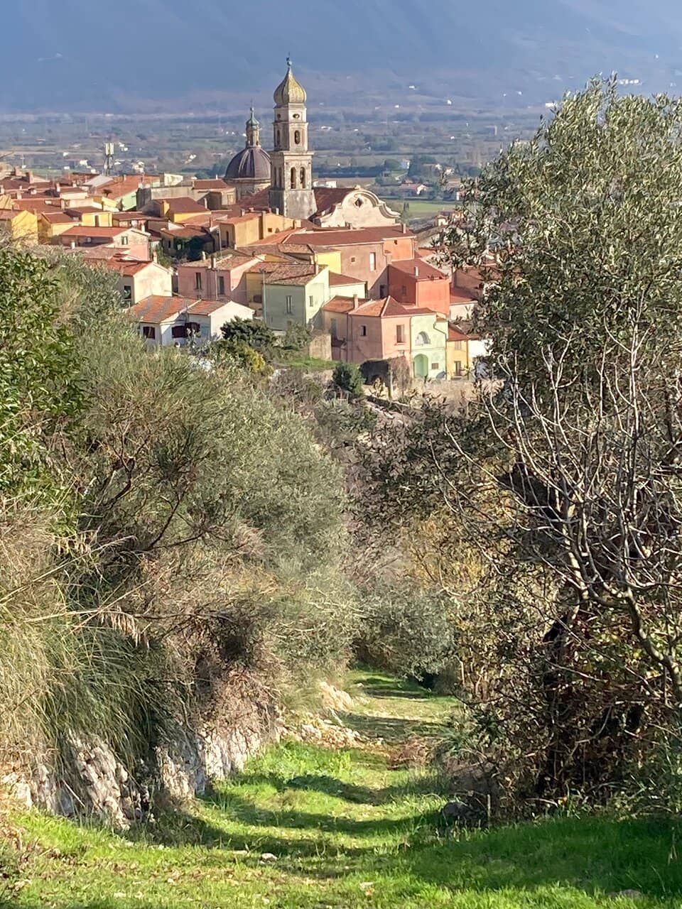 Madonna della Luce Panel