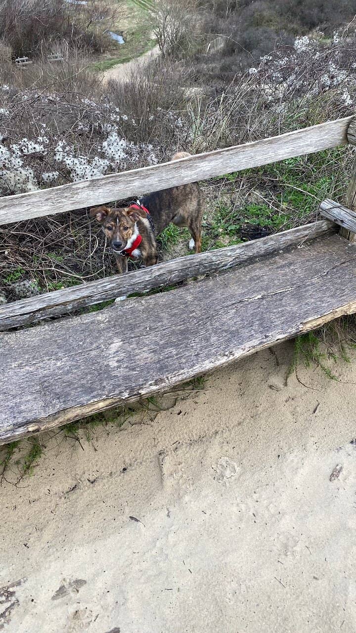 Diverse Walking Paths