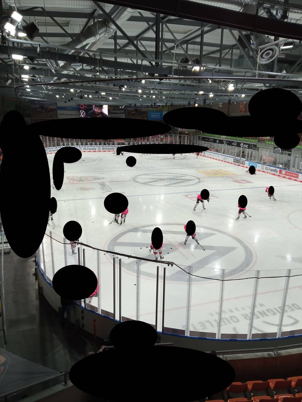 Grizzlys Wolfsburg Hockey Games