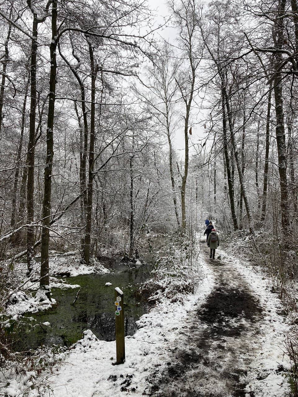 Former Mining Landscape
