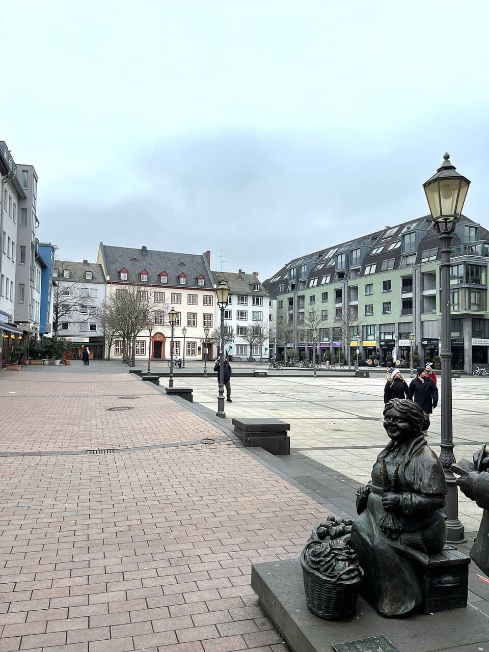 Vietnamese Cuisine at Vi Vu Koblenz