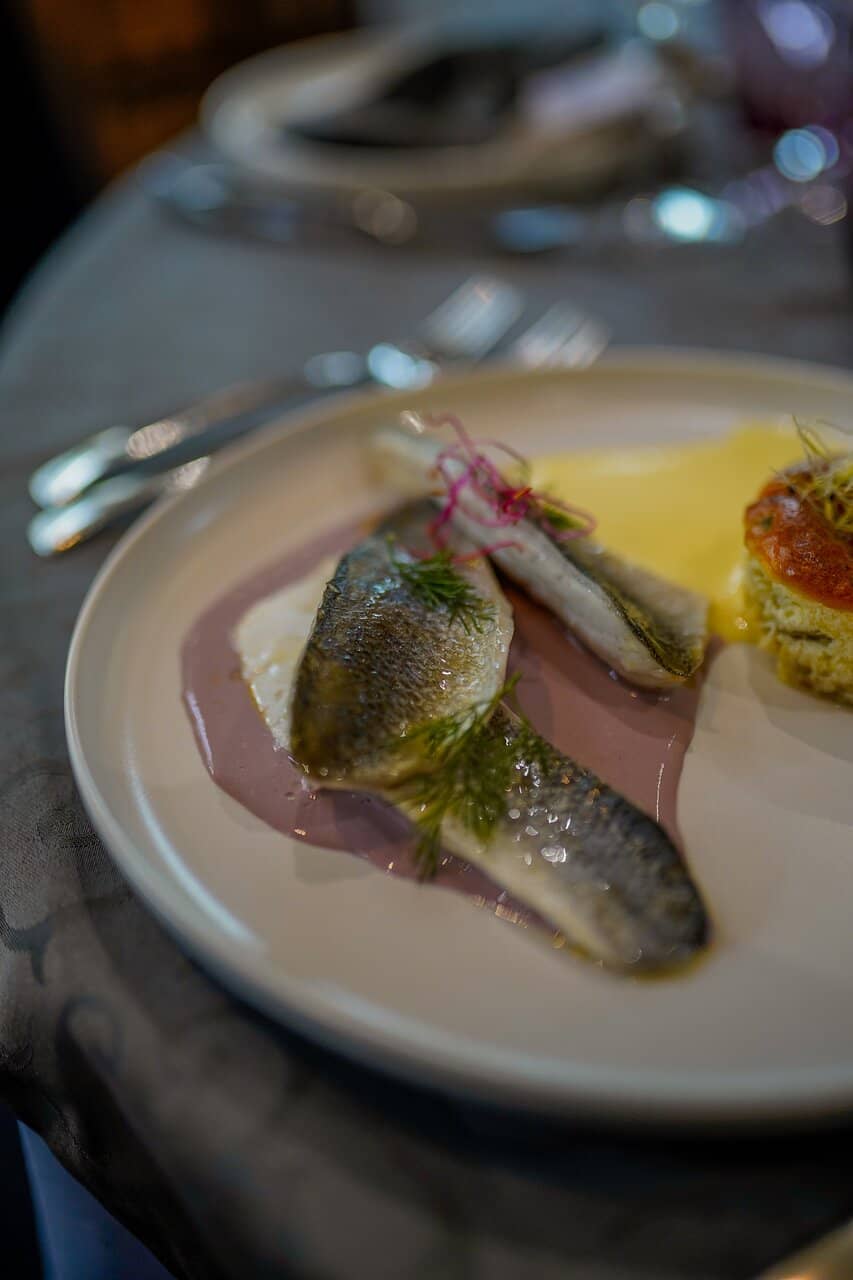 Cozy Spectator Benches