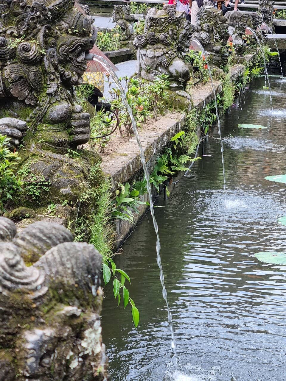 Traditional Dance Performances