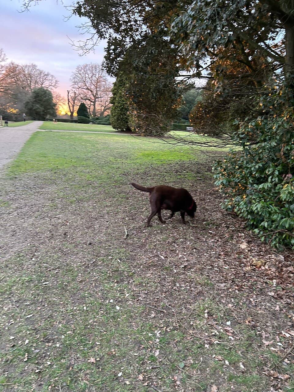 Scenic Walking Paths