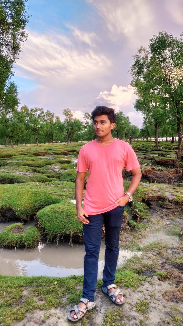 Coastal Tamarix Grove