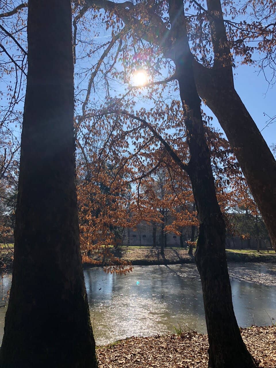 Well-Maintained Gardens