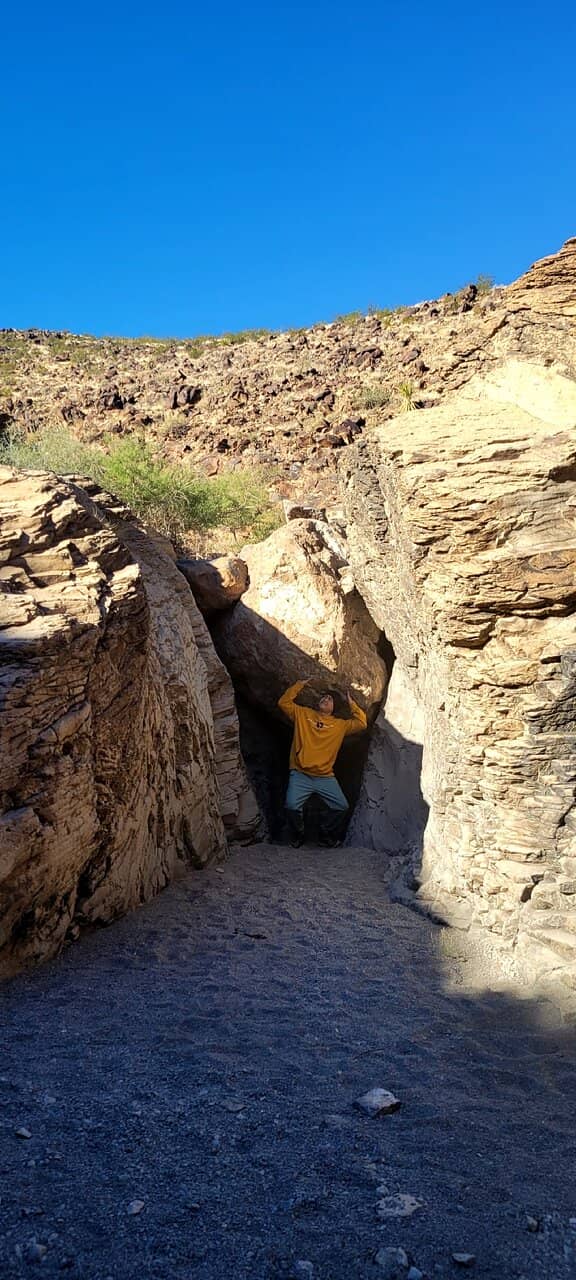 Wildlife Watching Opportunities