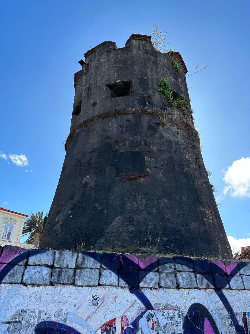 Costanera de Valdivia