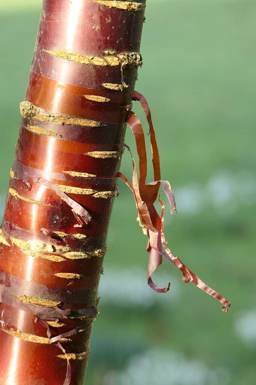 Water Sports Centre Proximity