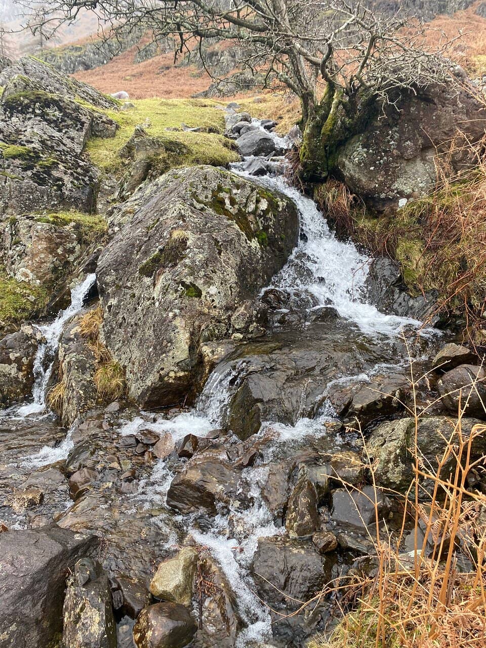 Panoramic Lake District Views