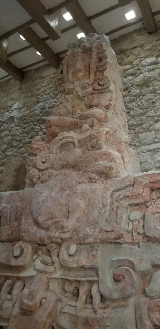 Serene Jungle Setting