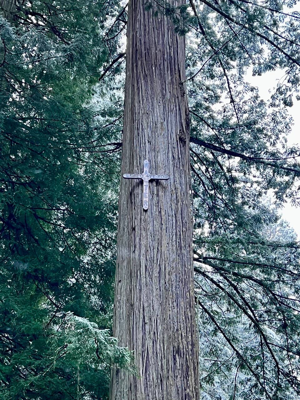 Rugged Coastline & Beaches