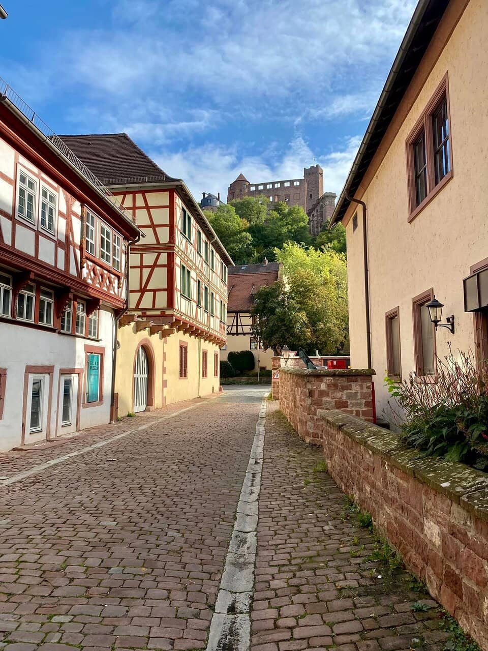Main River Promenade
