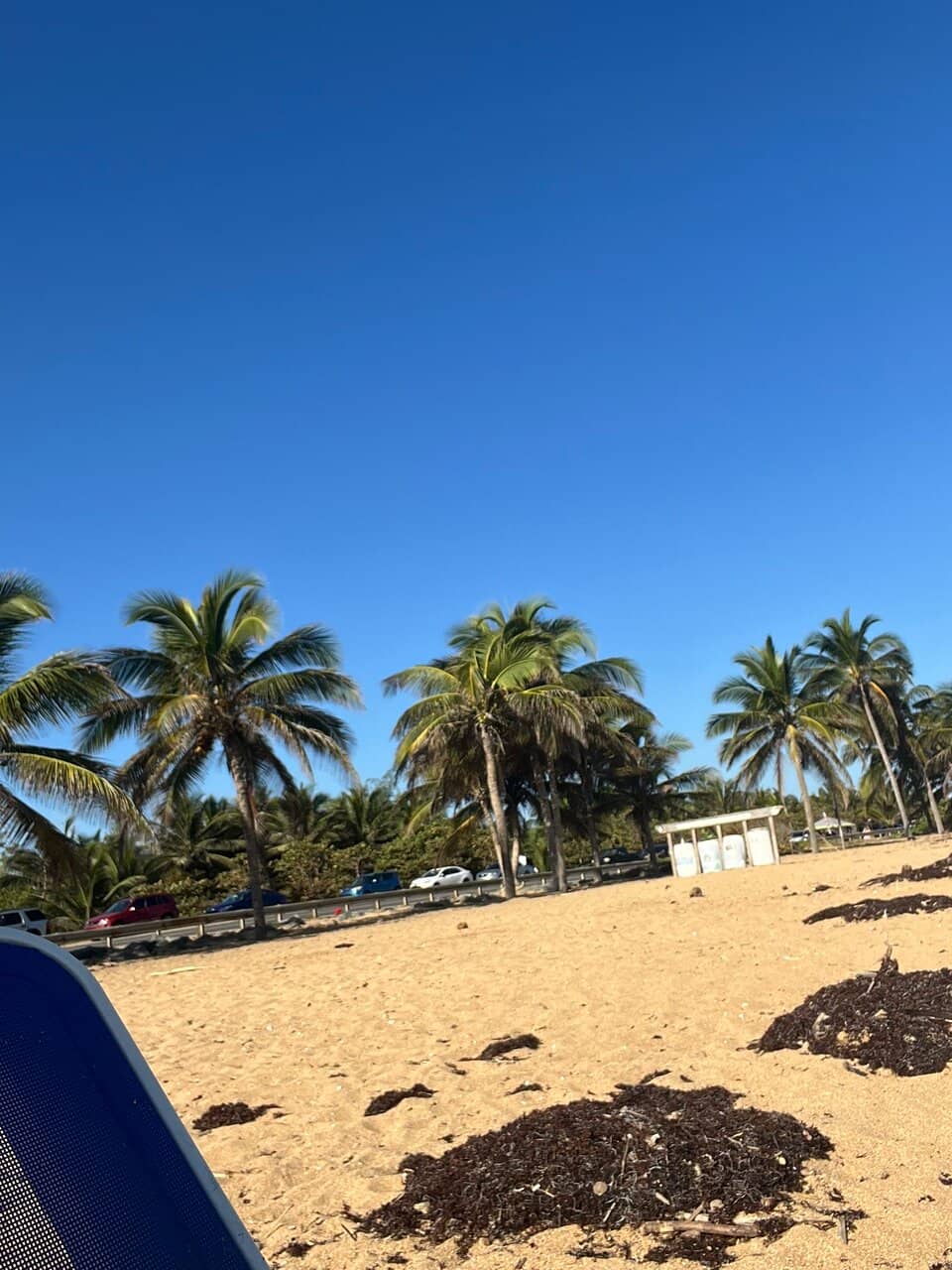 Walking the Coral Reef Wall