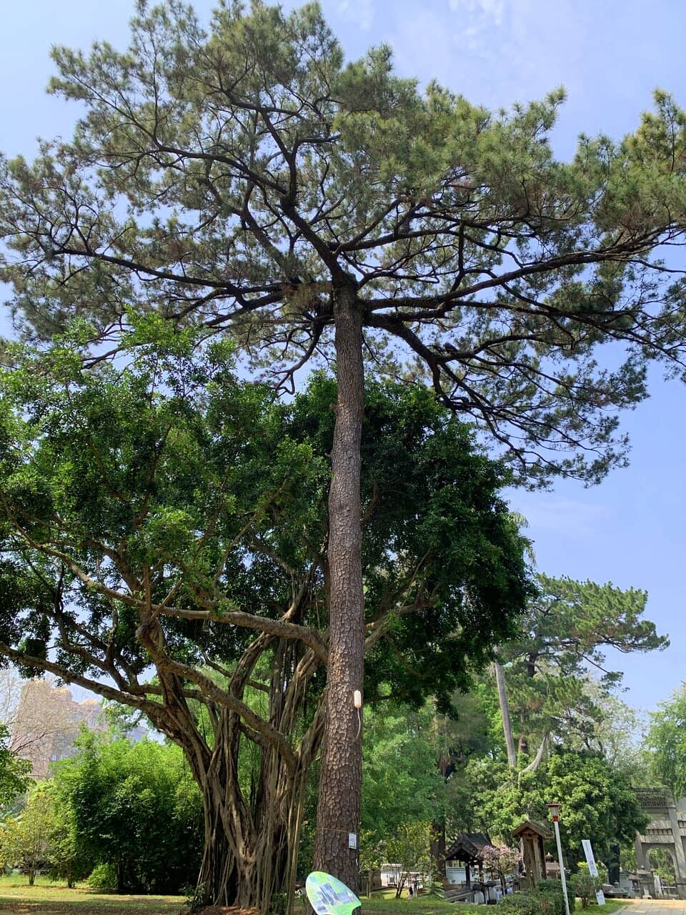 Chiayi Botanical Gardens