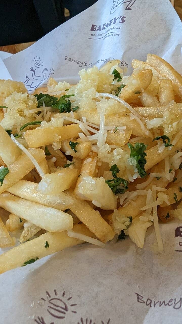 Gourmet French Fries