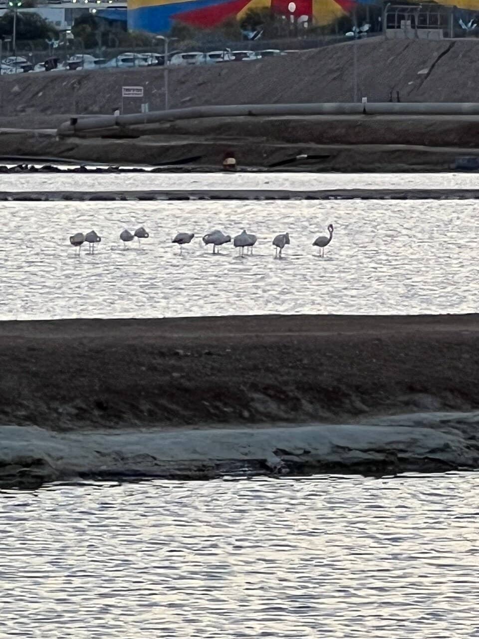 Informative Bird Hides