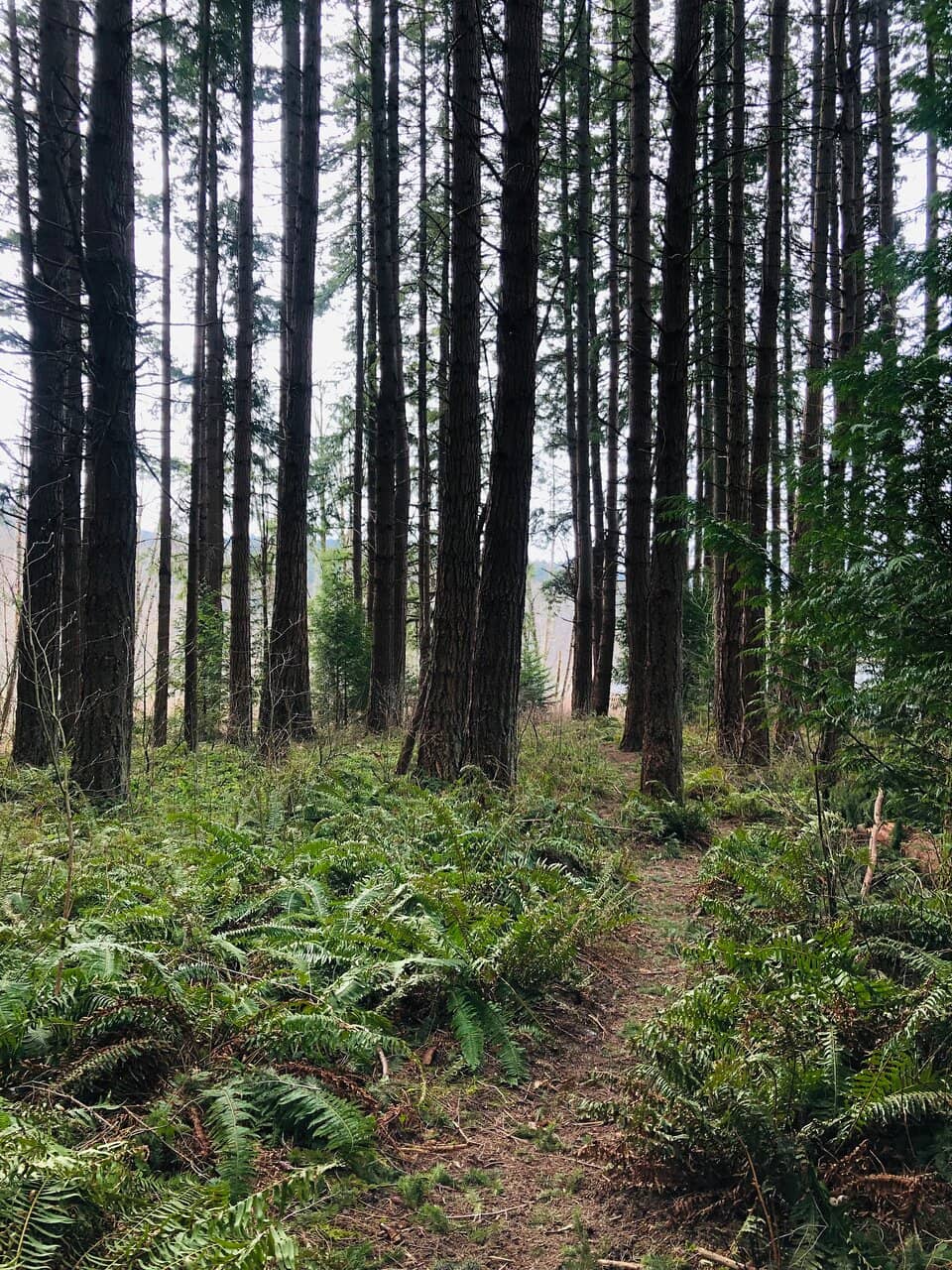 Kayaking & Paddleboarding