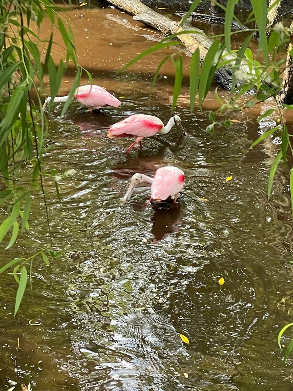 Visitor Center Exhibits