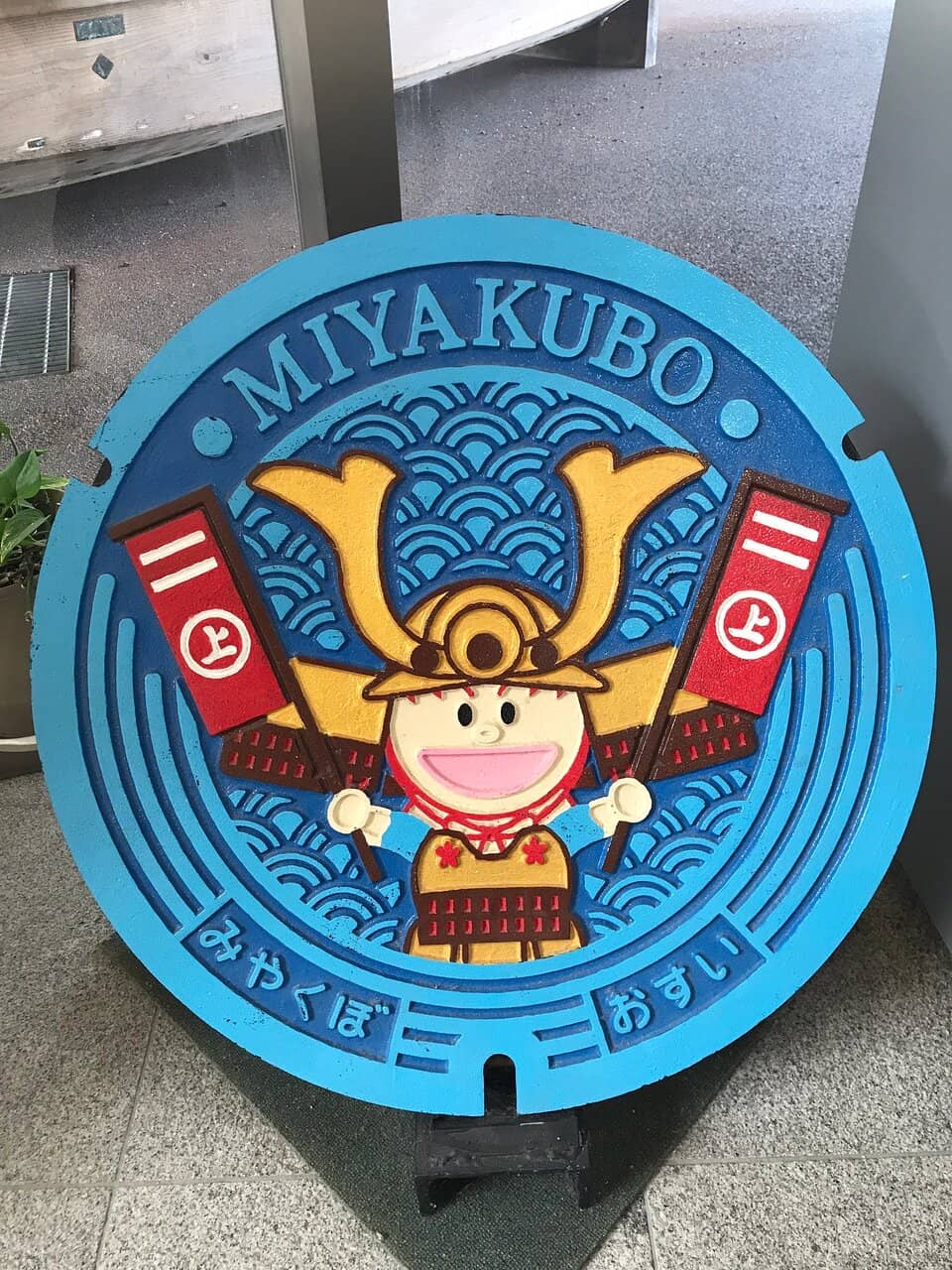 Educational Diagrams and Models