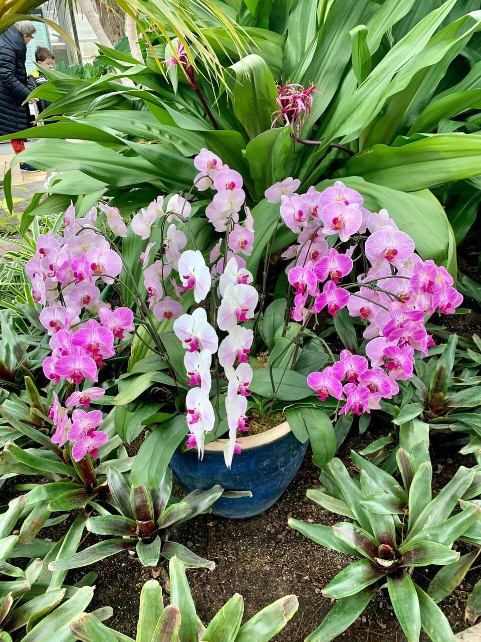 The Secret Life of Butterflies