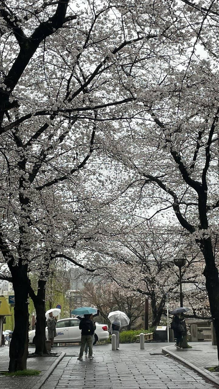 Tatsumi Bashi Bridge