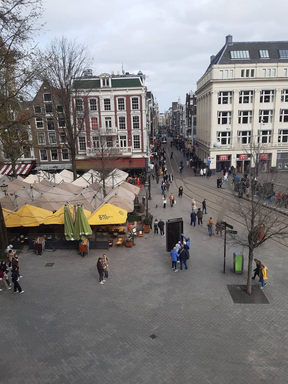 The Metal Lizards Sculpture