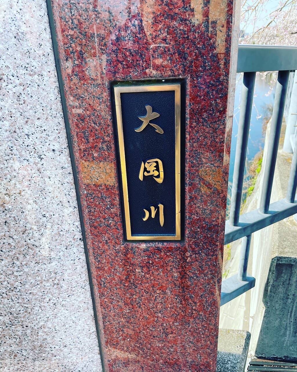 River Cruise Experience