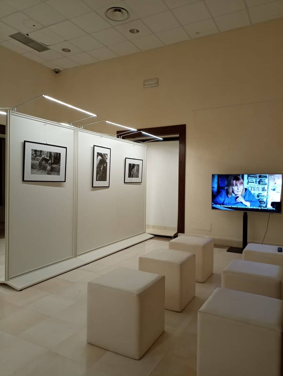 Donated Art Collection