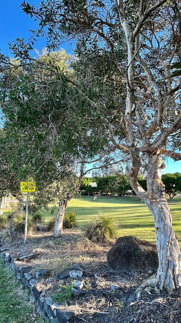 Kid-Friendly Playground