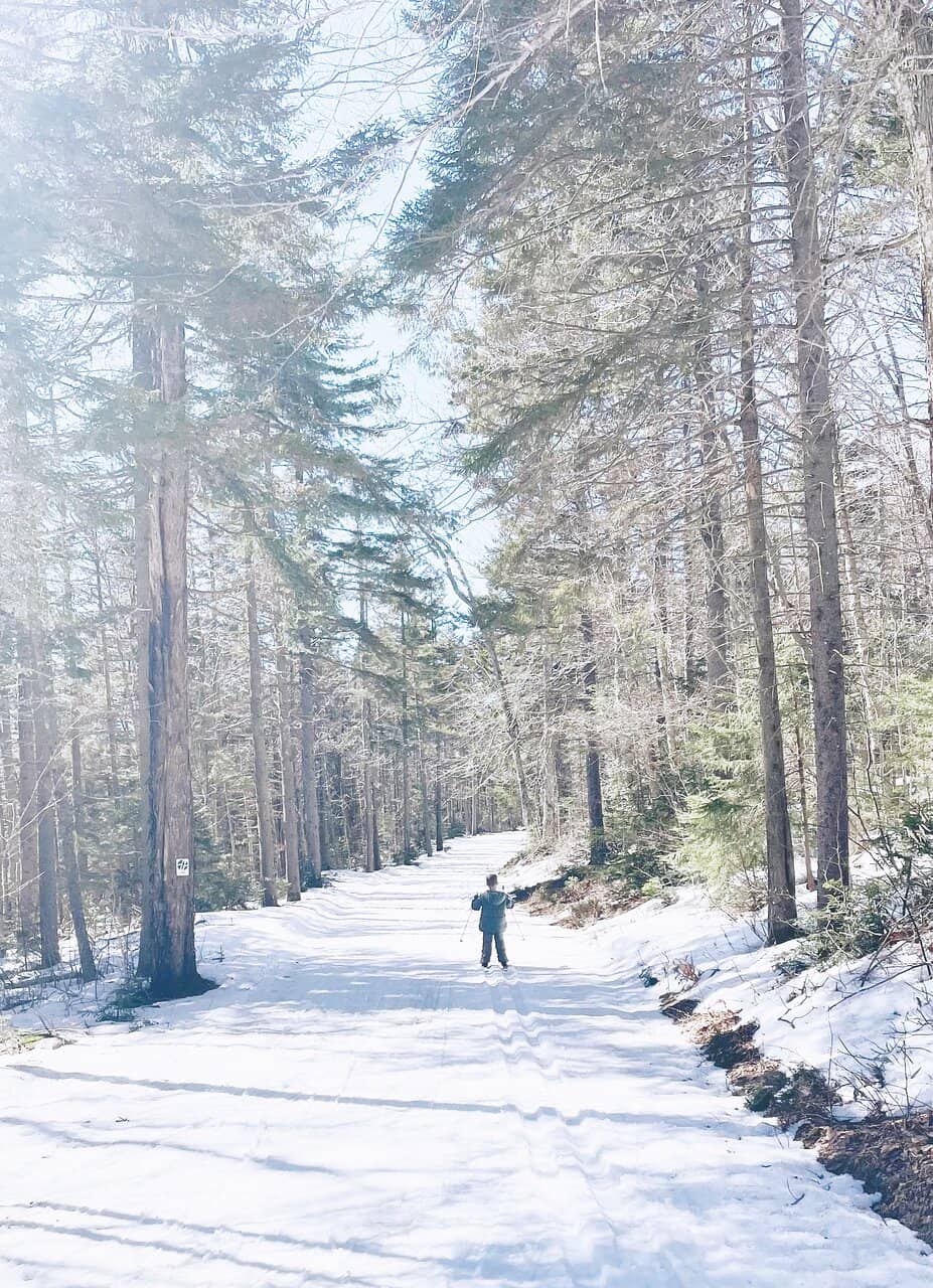 Groomed Cross-Country Trails