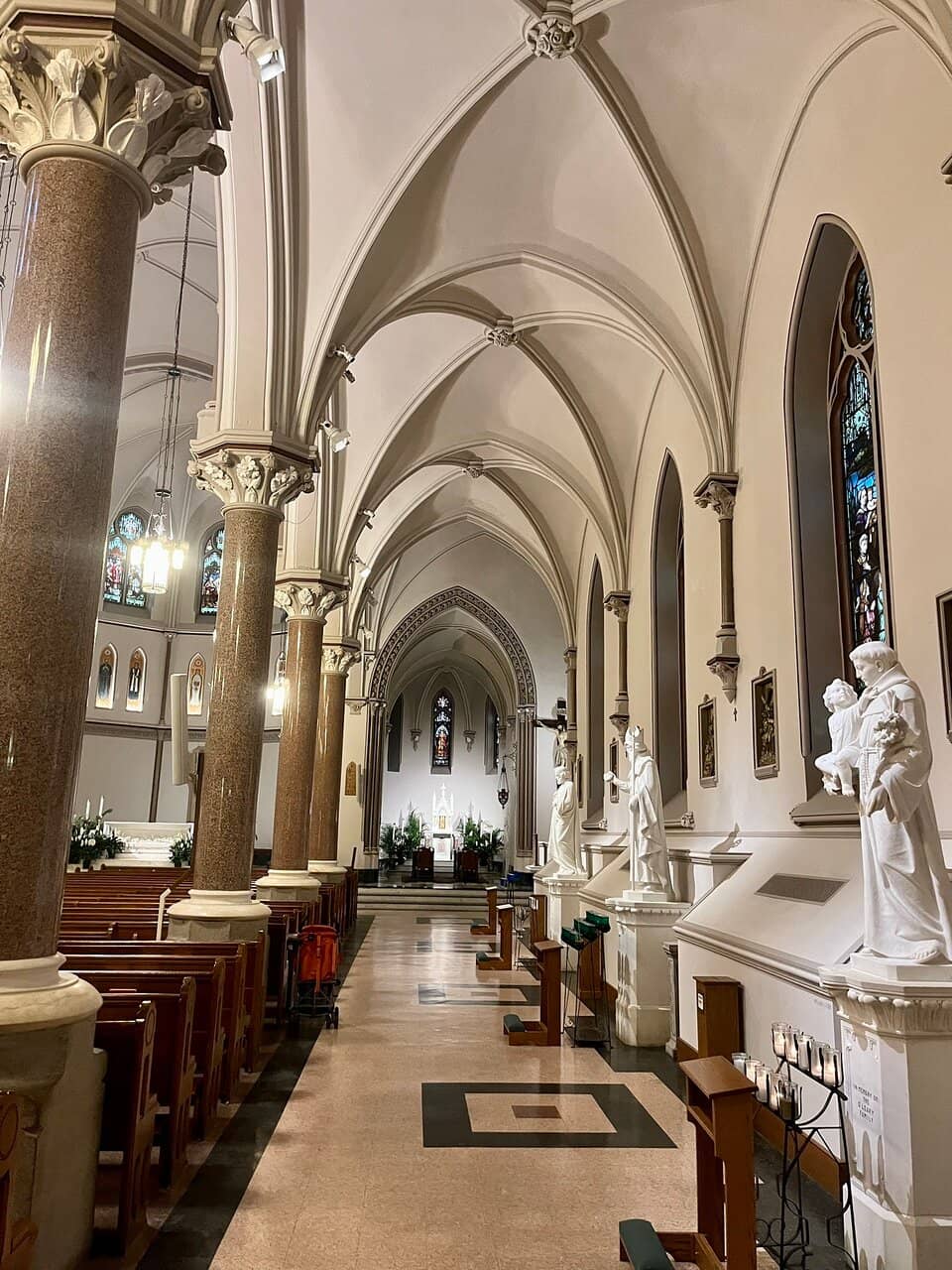 St. Mary of the Cross MacKillop Connection