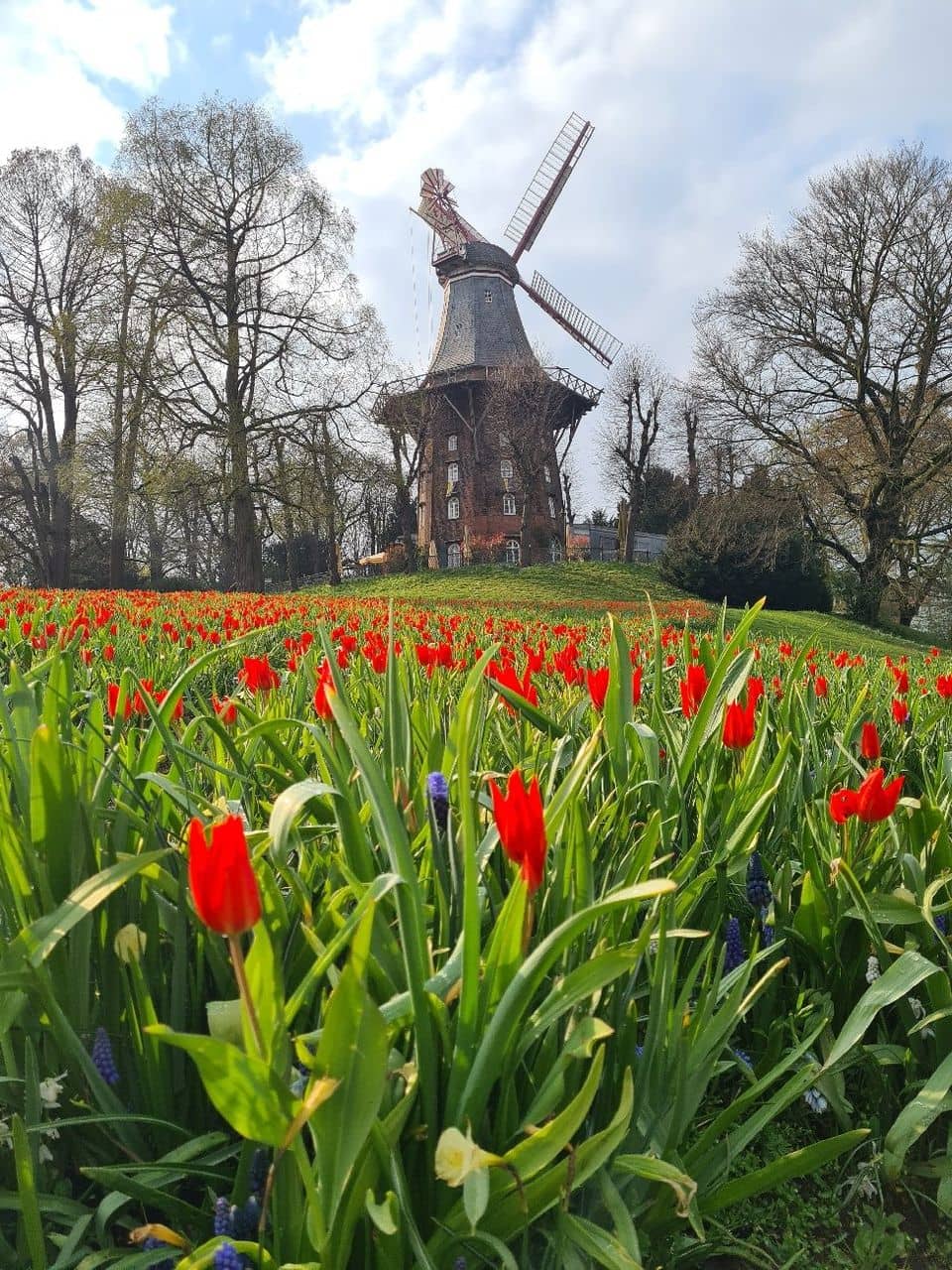 Children's Playground