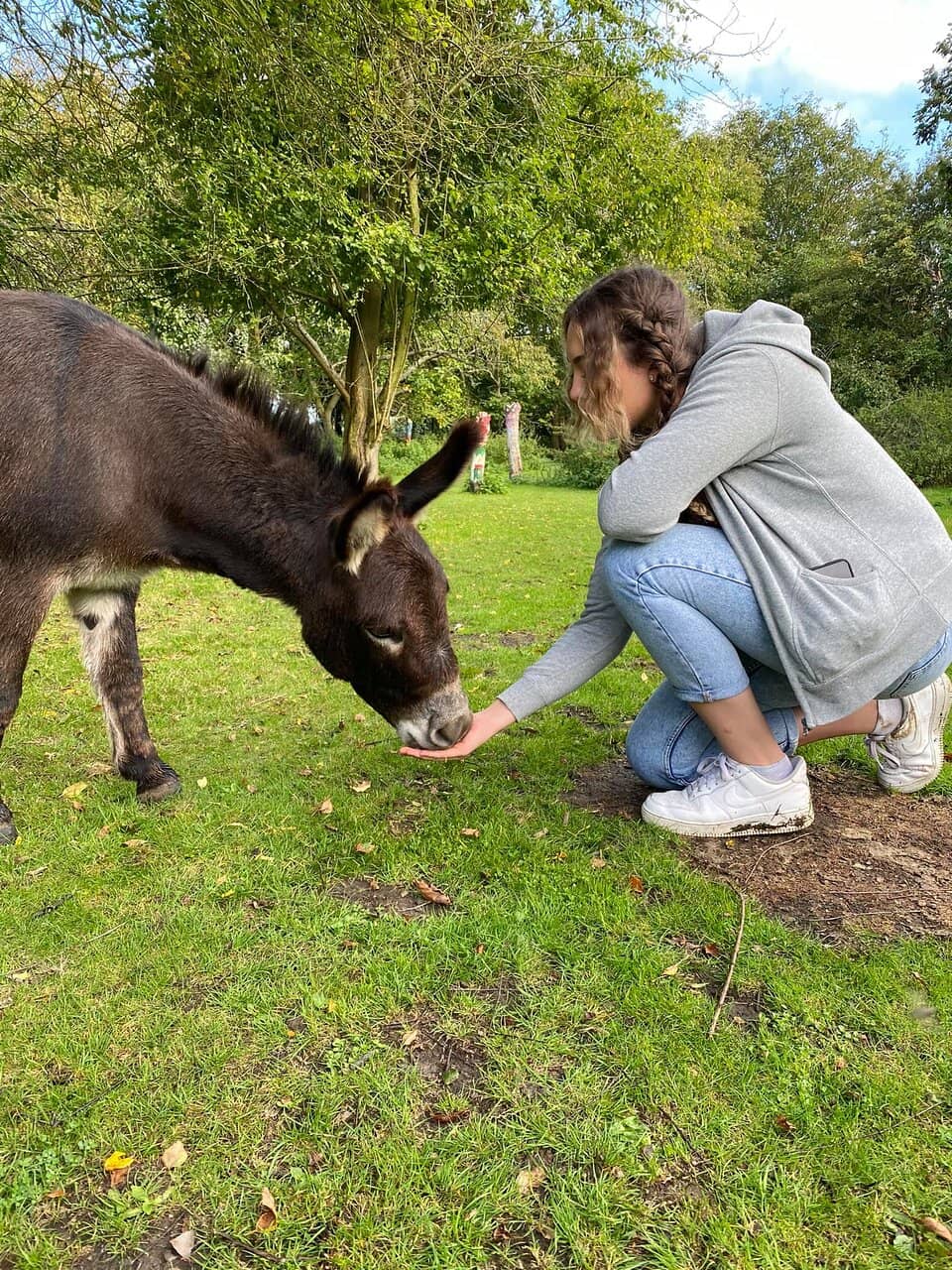 Meet Miniature Livestock