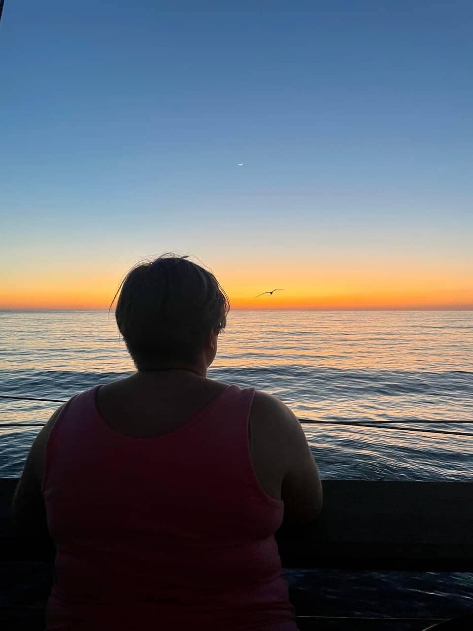 Coastal Meander Trail