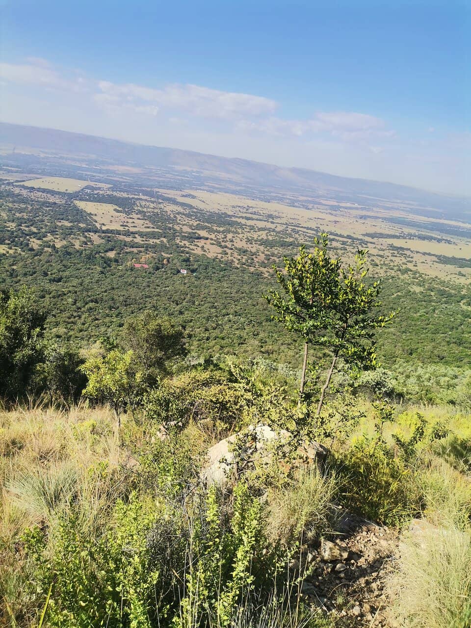 Diverse Flora and Fauna